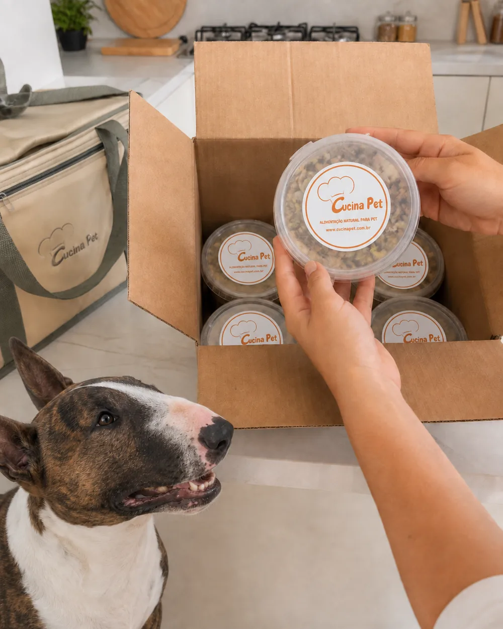 Caixa de entrega sendo aberta na cozinha, cheia de potes da Cucina Pet, com o bull terrier da casa ao lado e a bolsa térmica atrás