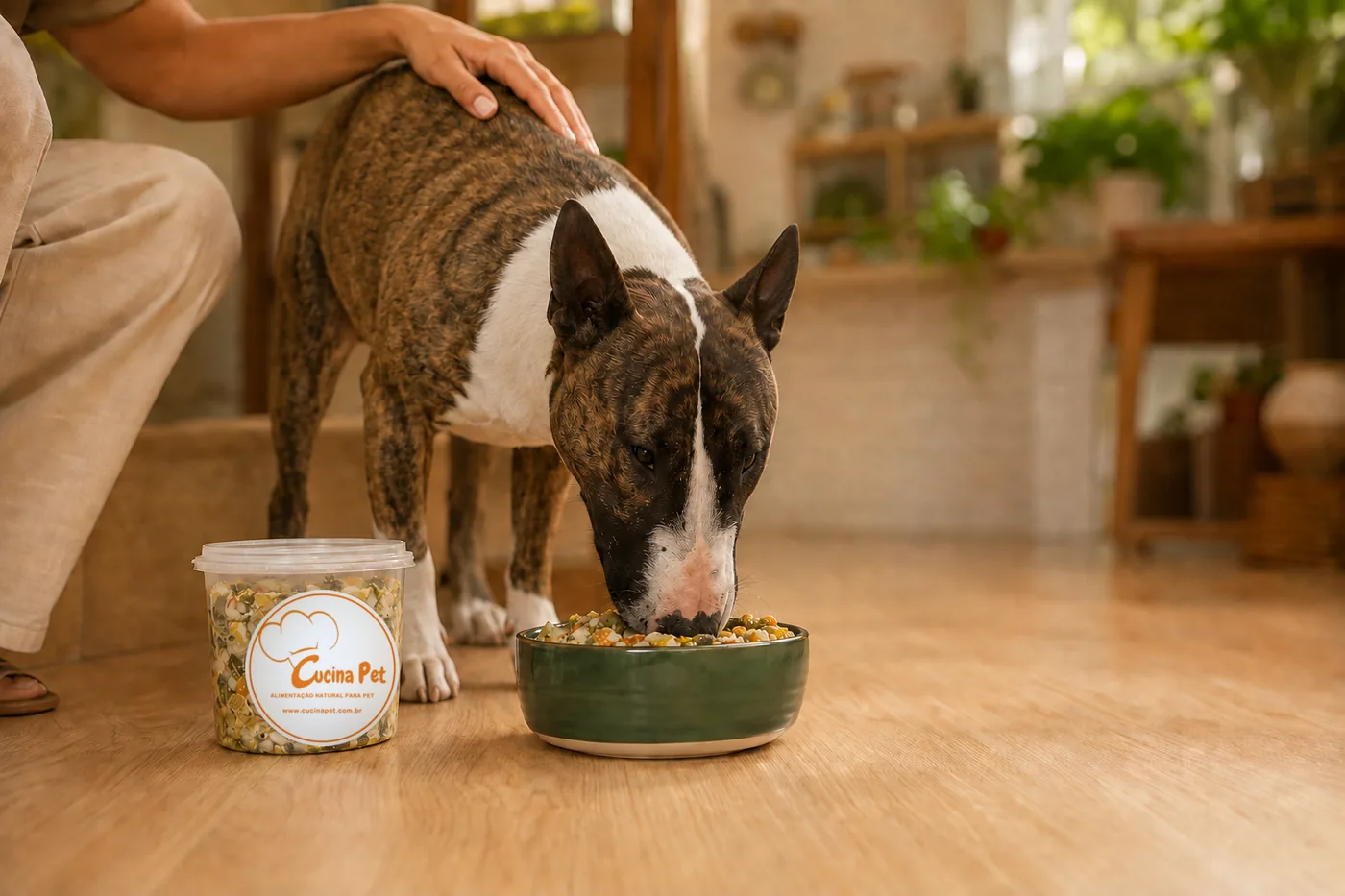 O bull terrier da casa comendo de uma tigela verde no chão da cozinha, com um pote da Cucina Pet ao lado